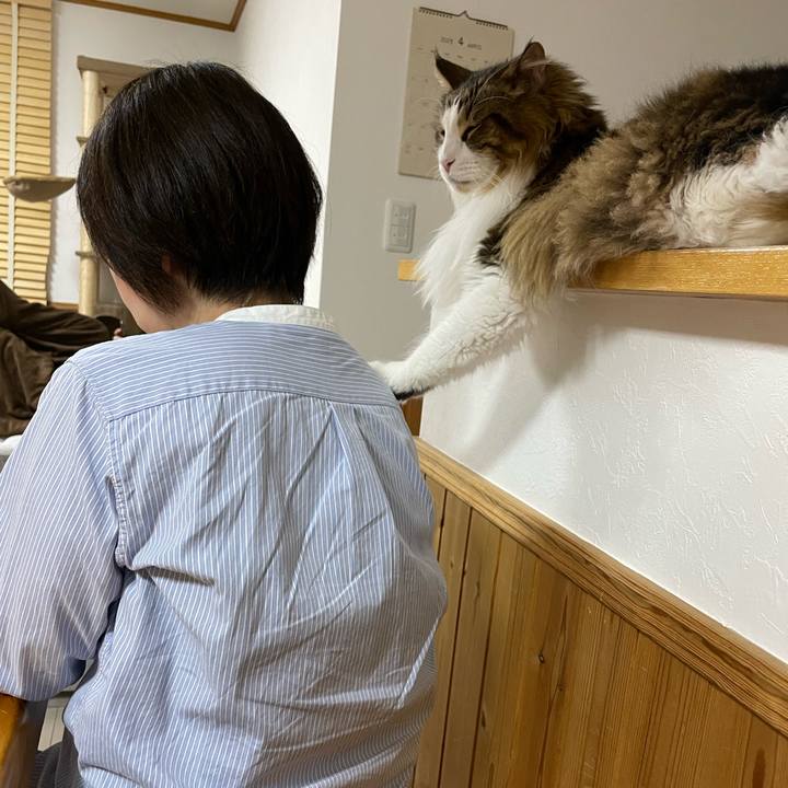 Ea18d565 2392 4f98 b161 9e2a6a16c068 1681387131847