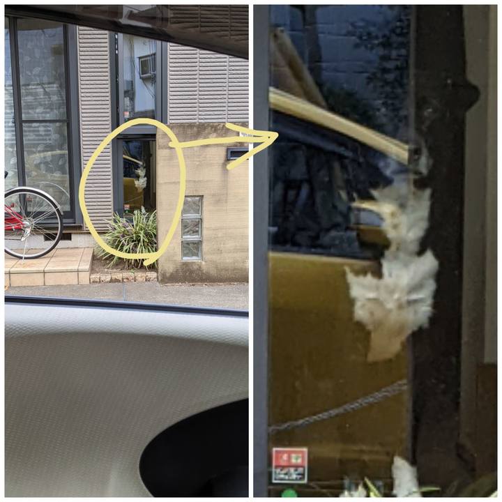 Ea1982d0 020f 4cdc 8110 d0ed1819ab98 1696245070476