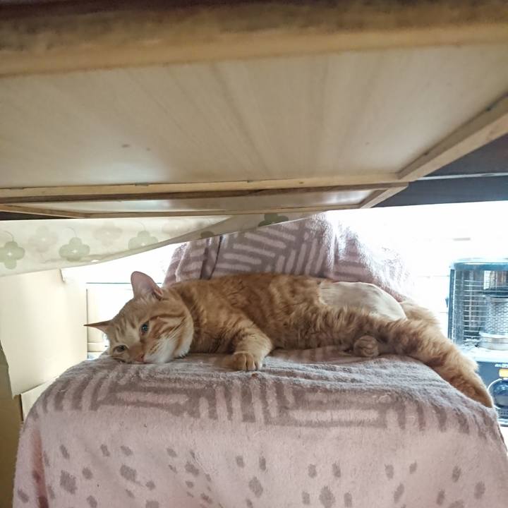 Ea199994 c665 4f9b aebf 5d62f6c7e26c 1654392682195