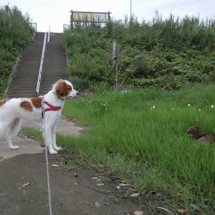 Ea19c196 1031 46ff b69b d8ba17085519 1537259708647