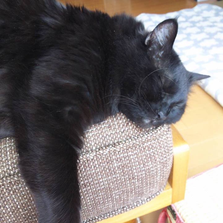 Ea19d457 05b8 4160 8b8e 51ddd7862f65 1519533713939