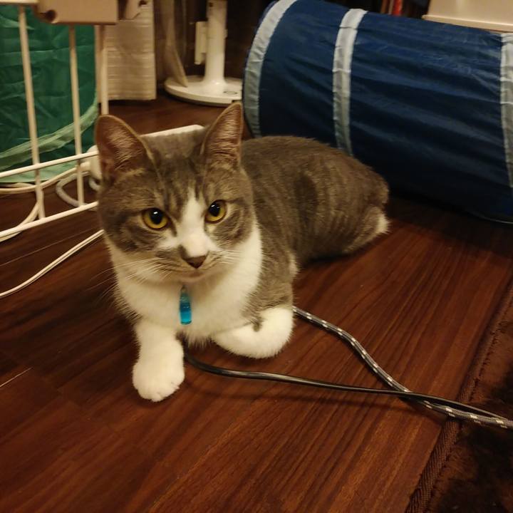 Ea19d56b 8304 423f 88f1 7a3bb66fd2ab 1581671703653