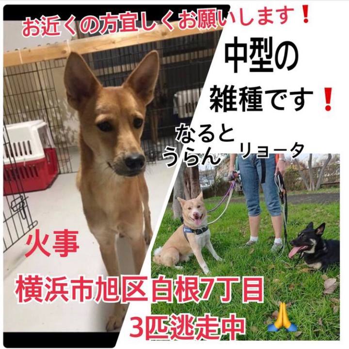 Ea1a0789 0d75 43b1 b146 4143afeb60bd 1550130347184