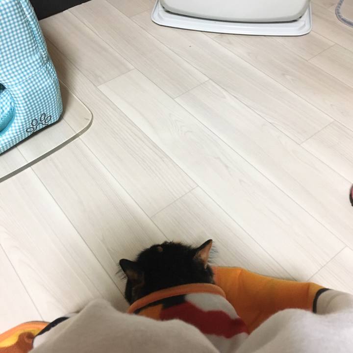 Ea1a0f1a 23a5 4204 b405 27dde58cd16e 1512128473084