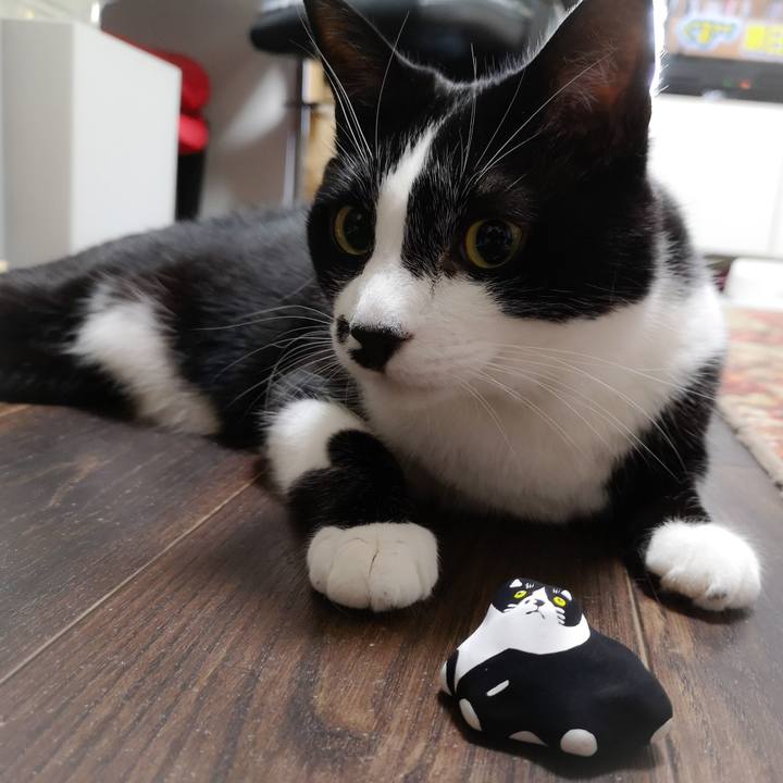 Ea1a11db 0df2 4dc5 bb6a 51778ab85ea7 1594558476479