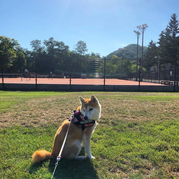 Ea1a29ac 4bfb 491c a5e0 ec94a9cdc5e8 1598229900857