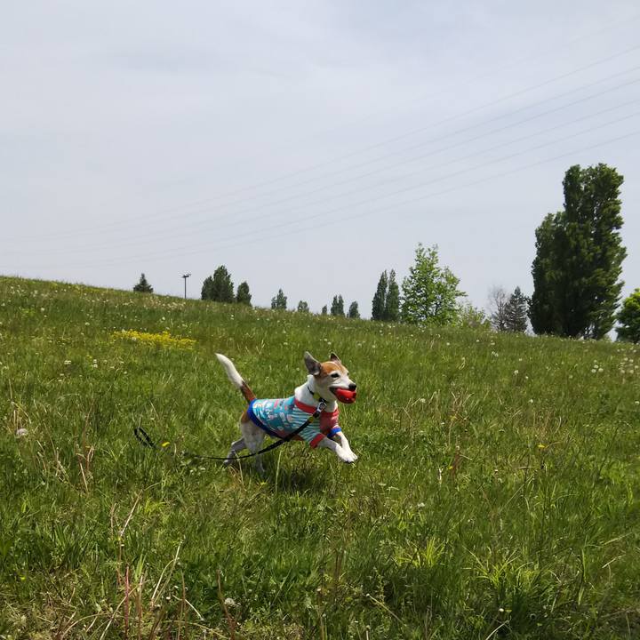 Ea1a5ad2 f3c9 4545 acfc 6816b1474188 1524382533787