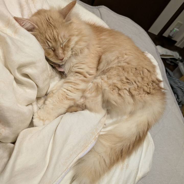 Ea1a60df 6aa9 4b0b 95fa 29b6470b3995 1728217102111