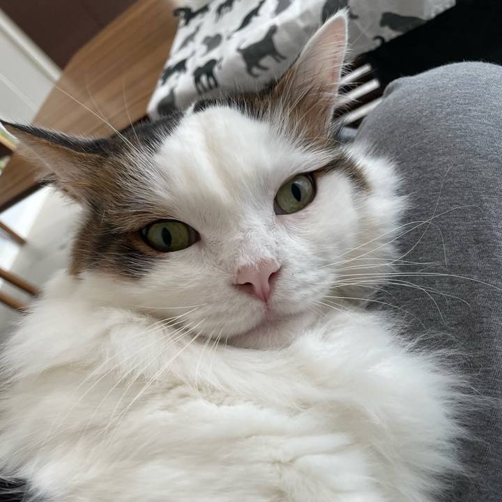 Ea1b14de 42b6 441f bf1b 3f04890edaae 1764651750745