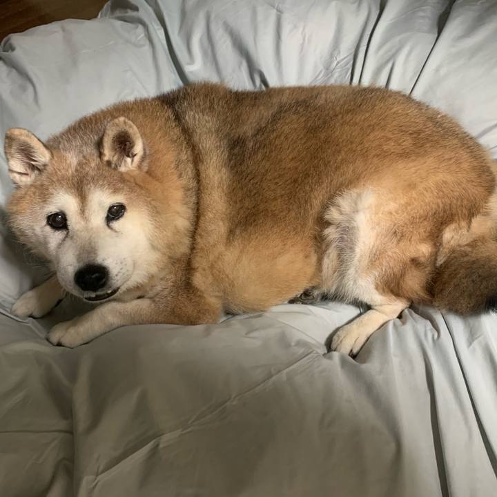 Ea1b222f 9662 484c 96ca 5b03c6943769 1635462138523