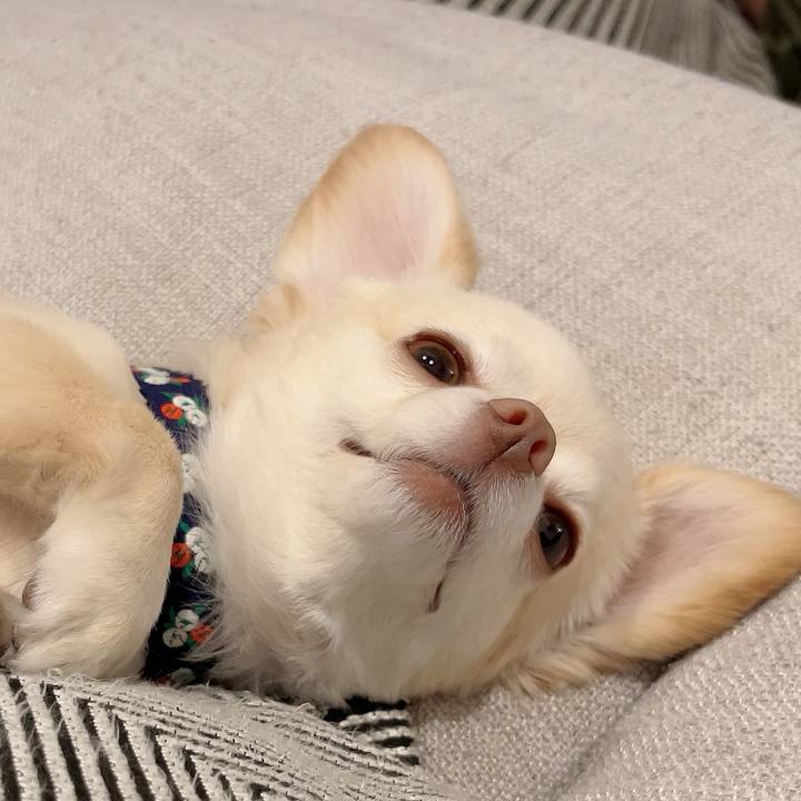 Ea1b7ede 7c0e 4a2f ae3a f3fac919c703 1722952658064