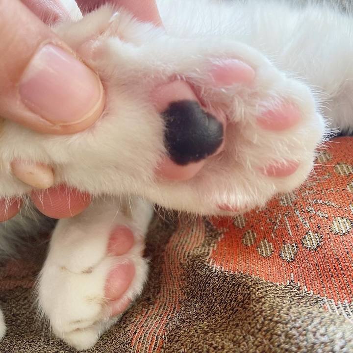 Ea1b97d0 4fec 4698 a140 c75768b1d624 1641102156376