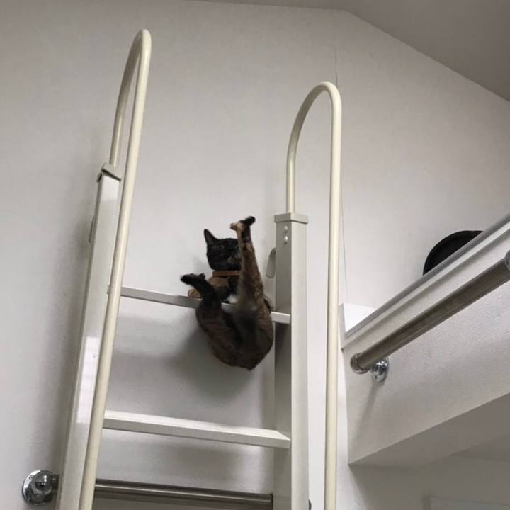 Ea1bbc92 764b 4f48 8444 47ff406ce7e7 1569032165789