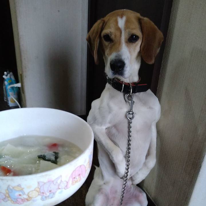 Ea1be68a cf20 414b 8fe5 c766c6d57cbb 1643699556166