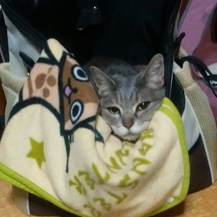 Ea1beda0 8271 423f ae5e f99c5ec396d0 1590064139011