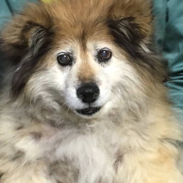 Ea1bf6a5 8dcc 4237 9a38 e0c6785b2c11 1606684151031