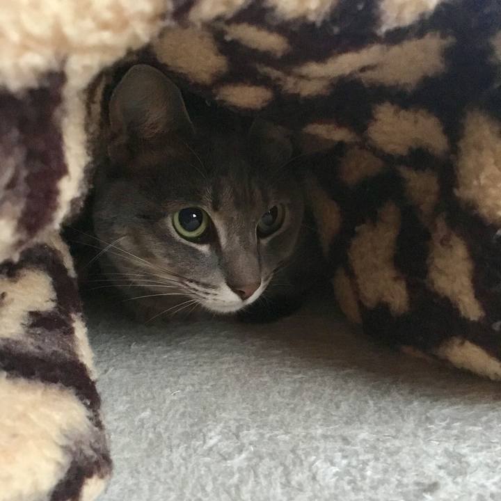 Ea1c05f1 19b1 4c4c aa8a ee5320c50e49 1546241785395