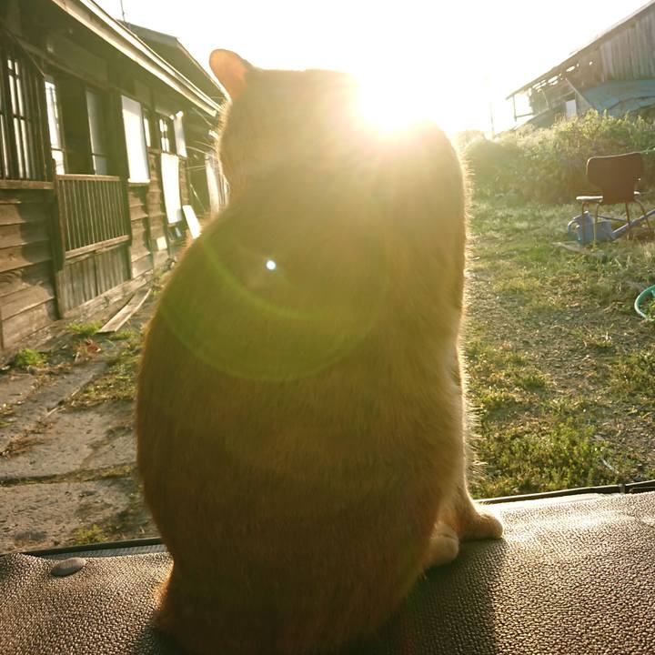 Ea1c18ce f0fe 4ce1 ac6c f9c7874fa841 1568408657674