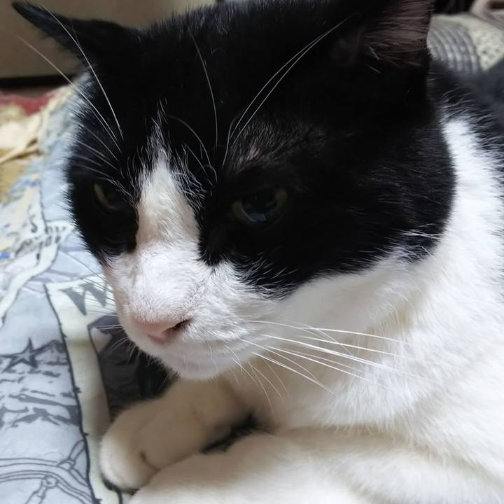 Ea1c247b eda1 450e bd48 20512e0bb642 1568238580321