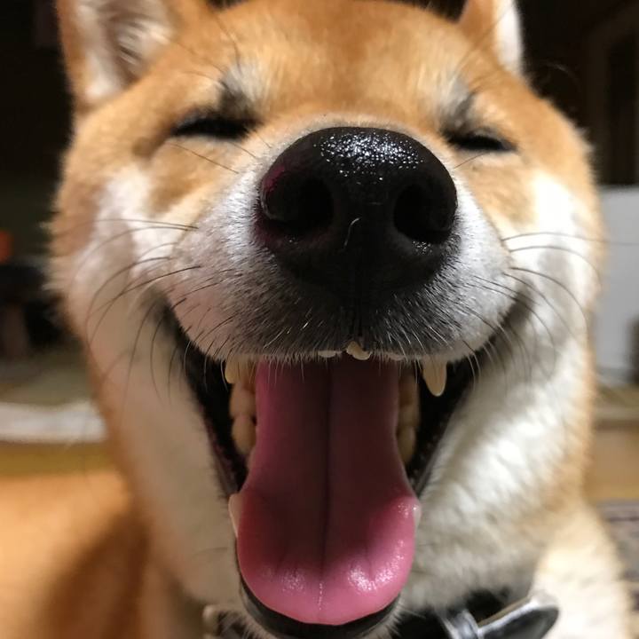 Ea1c2dbf c18e 4d78 8ea3 d6ccb653704e 1530875357648