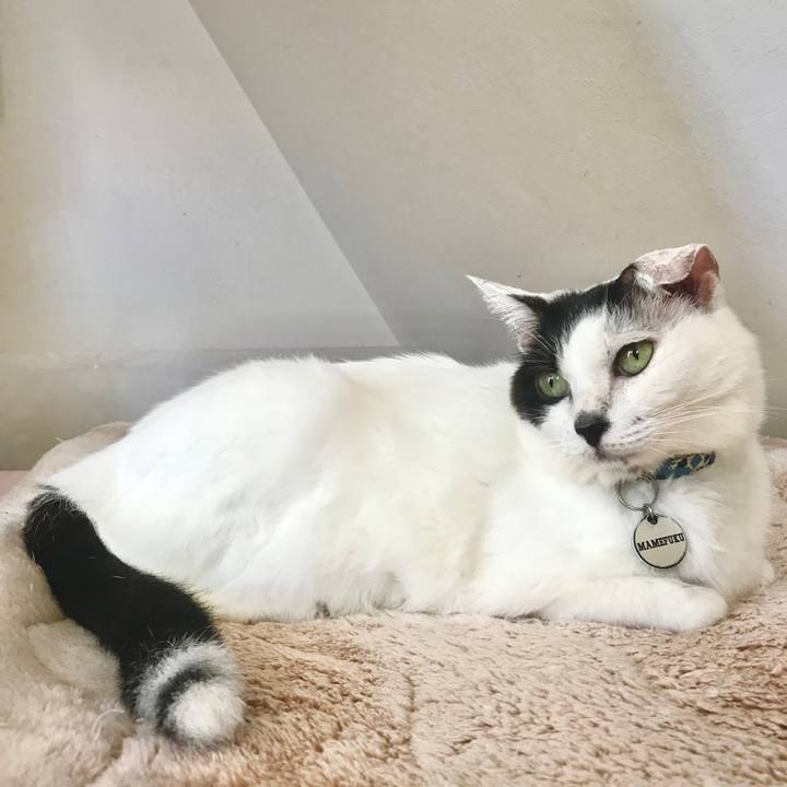 Ea1c399f a7d7 43ea befc cf877396202c 1632035729702