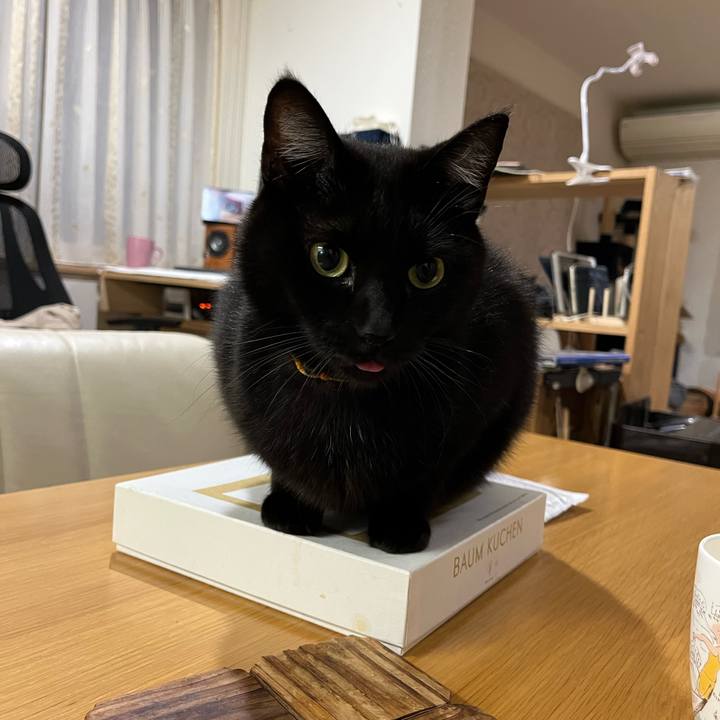 Ea1c43ec 247f 4d7b acac 7e4781ee222d 1639053620188