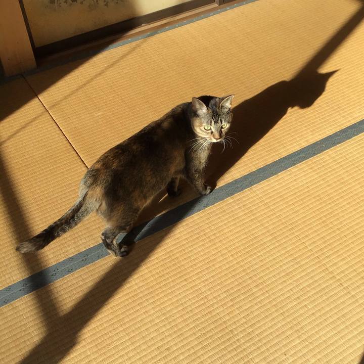 Ea1c53da a49e 48c6 94a7 1e7d9c211313 1608267610971