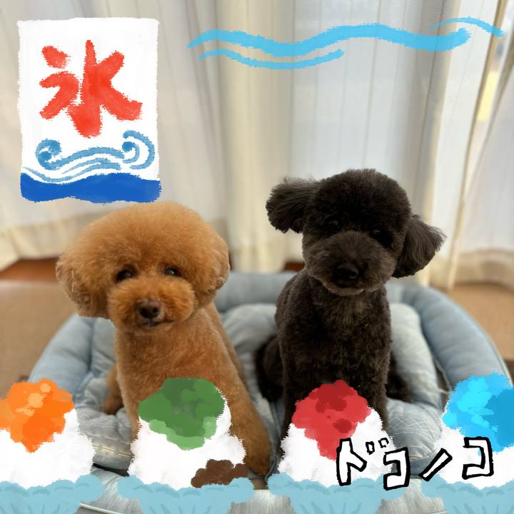 Ea1c76d4 6ffd 422d b2f5 d3c896f5697a 1723189735473