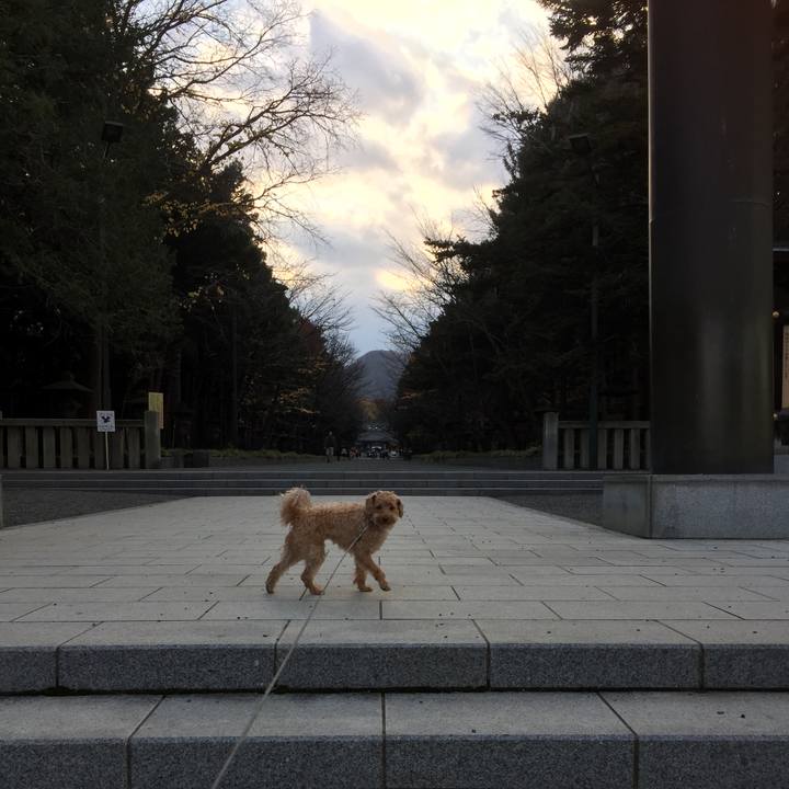 Ea1c7d4b dc9c 4b32 af56 fb07fbe436d2 1509878469657