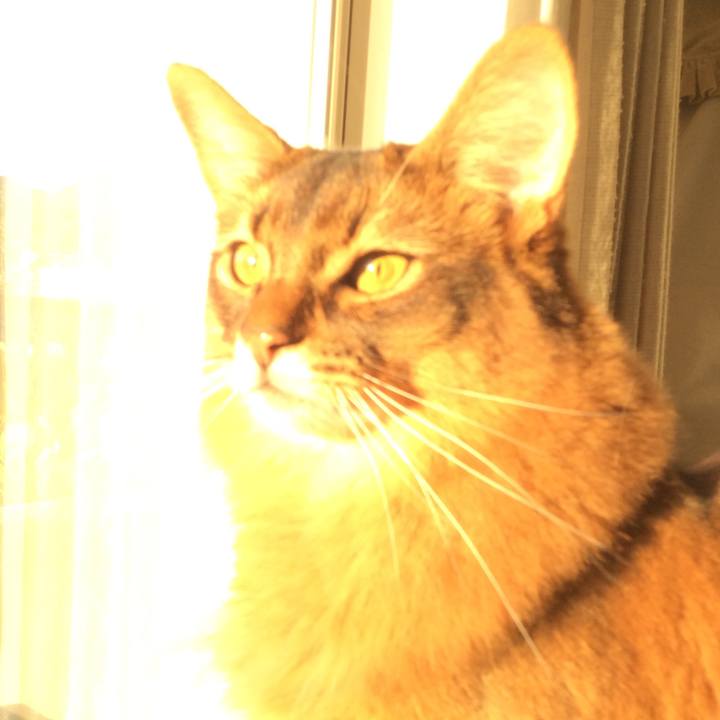 Ea1caeaf 191b 4bfe ba87 95fec1f20e1a 1606861796846