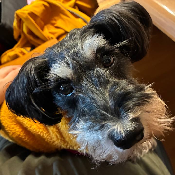 Ea1ccbd8 2a17 46b0 93ba 97dda4937ec0 1763452457580