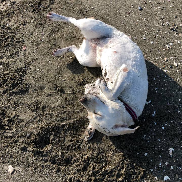 Ea1cfc6d ae65 4c59 9bed f089e3233180 1598508476886