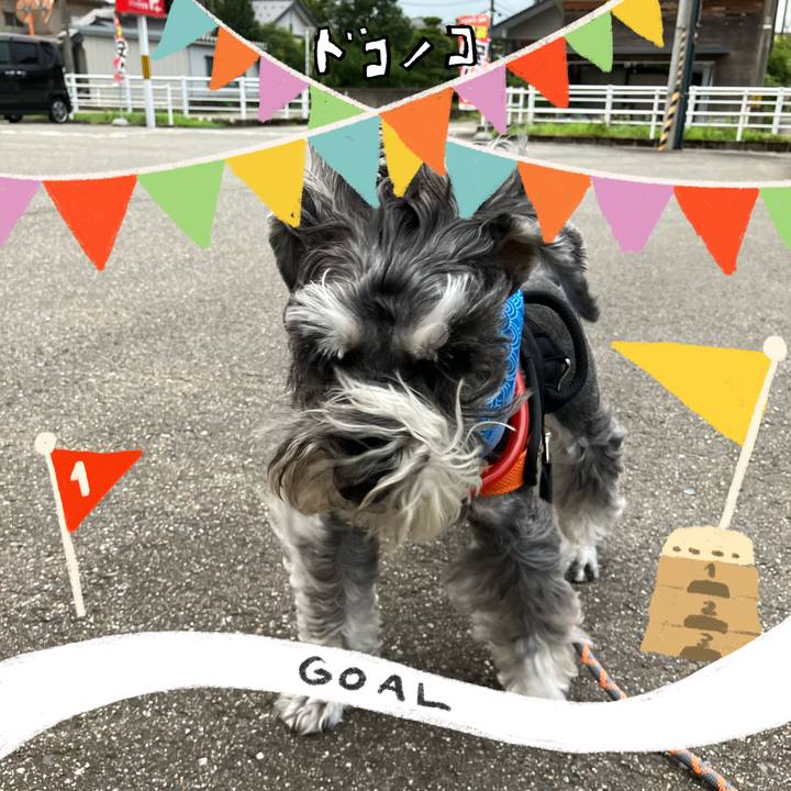 Ea1d545b 7809 432d 8f71 1946221cc0f3 1729083278937