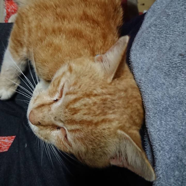 Ea1d706b 9201 41ac a621 cc94b82ba16c 1555359115064