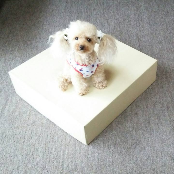 Ea1d7a0a adfe 46cb 9cfe f41f32590177 1536310328028