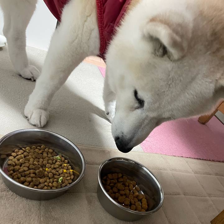 Ea1d862e 935b 4e02 b33f b80bad387d33 1707998234950