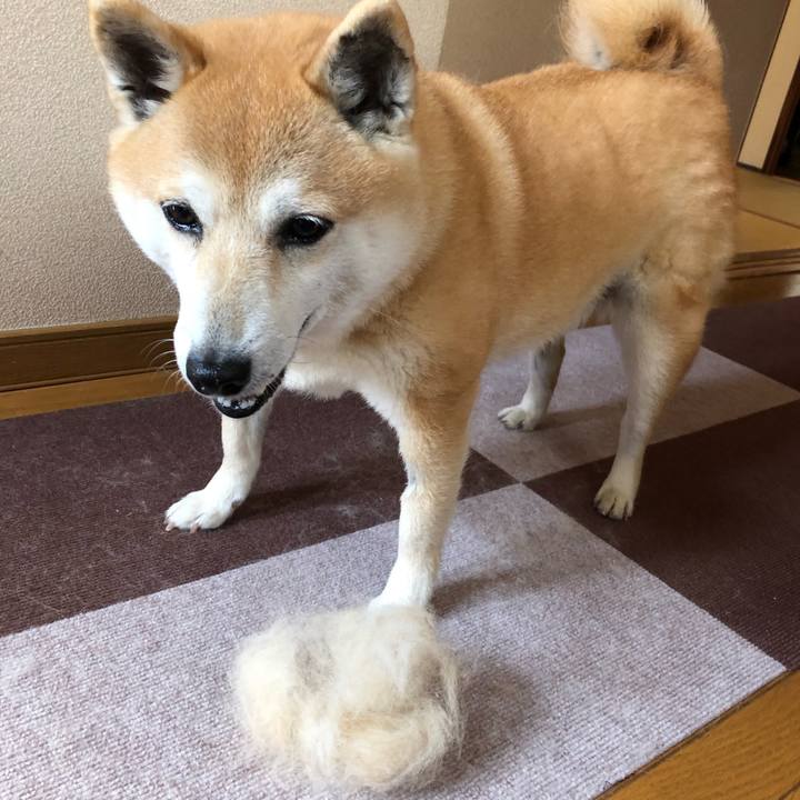 Ea1db098 f5ca 4e12 801c dd455b3a4499 1555898782760