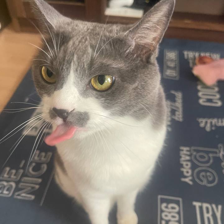 Ea1dbb3c 565e 46db 86b6 1b908276b39f 1691292637039