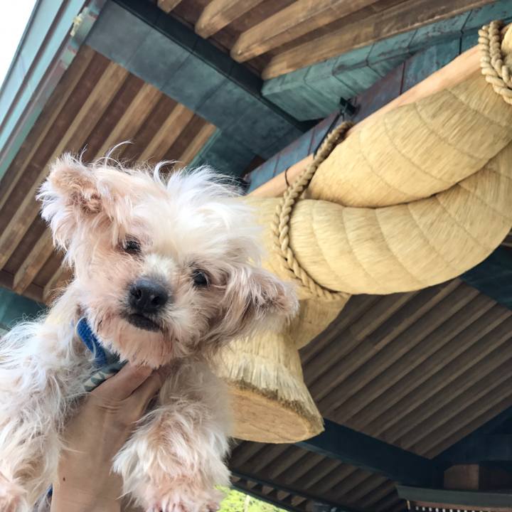 Ea1dc082 86c8 4757 92a3 ffec9e66c491 1564498147184