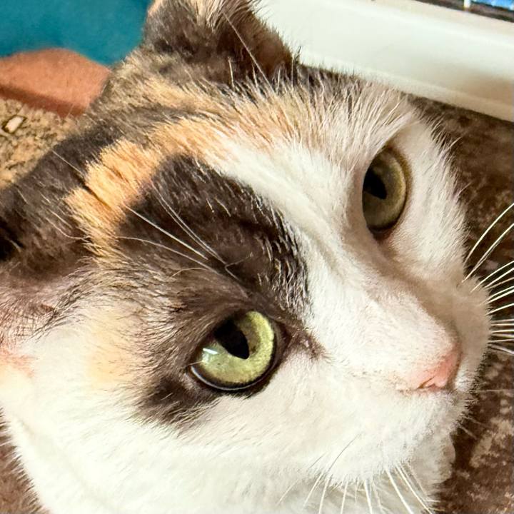 Ea1dd497 2ce4 48a6 8135 c79c845b4a65 1742606981767