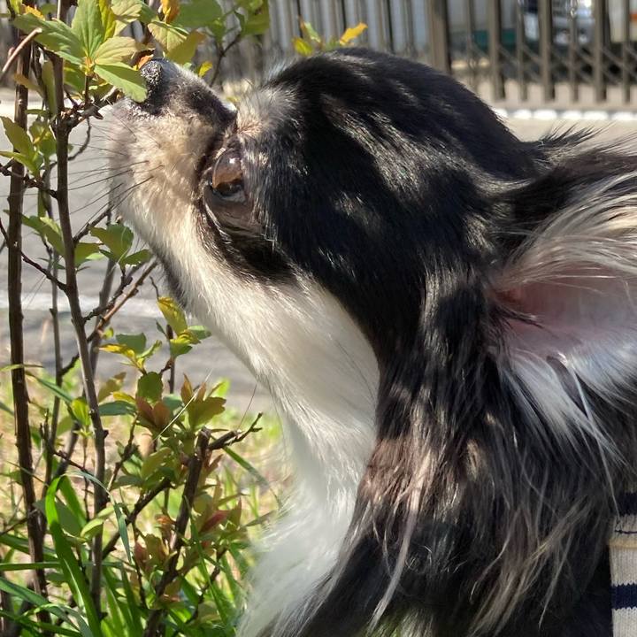 Ea1dee46 c301 4d9b bbaf dffed3b3411f 1616816841367