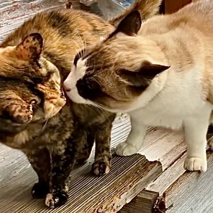 Ea1dfee5 20c7 4b34 9e80 99de1d8f2c60 1736644481818