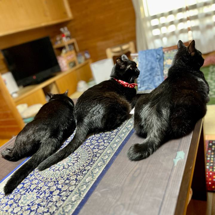 Ea1e3077 1edd 4baf bb62 22f4a7ff2f56 1689413562474