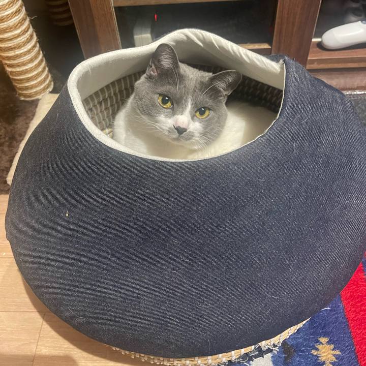 Ea1e326e 9370 4613 afe9 ce1face6eb33 1681214902578