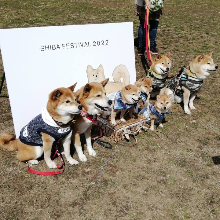 Ea1e9963 1ba0 4446 9b41 03314017bfc1 1646491466011