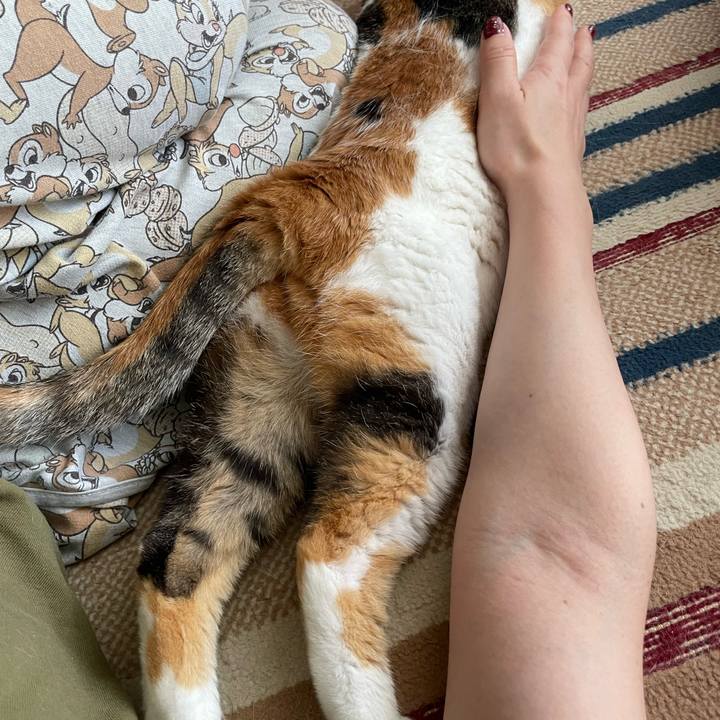 Ea1eae64 192d 48ad 9ffd 966b4a60bee0 1721345782738