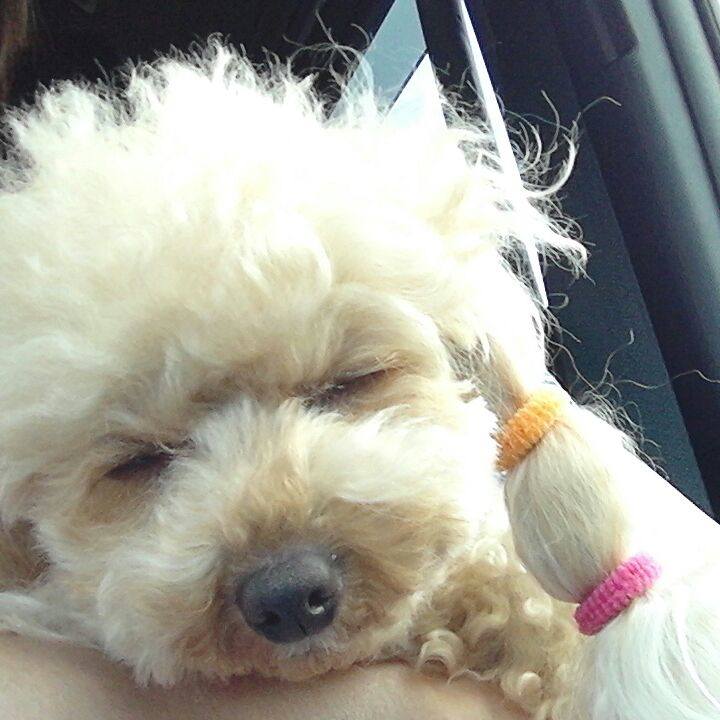 Ea1ecf52 fc80 4ef8 9ec8 0b5936429be3 1530443907076