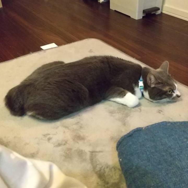 Ea1f0179 1cc1 42c6 a5af fb3825f56d35 1646656777574