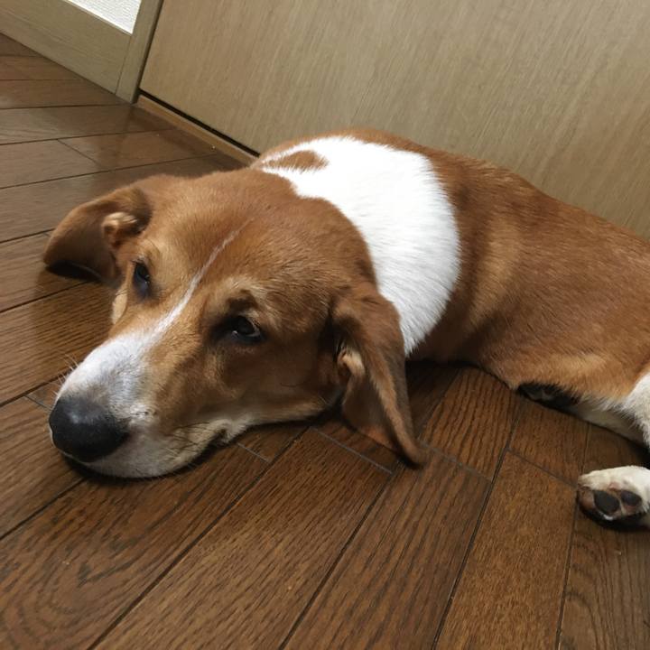 Ea1f0c4f 77bb 4b22 8d9f 2a535060a3da 1598450601988