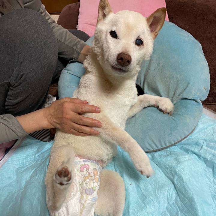 Ea1f0e0a 9c13 42a1 814d 39a996978be2 1666057689038